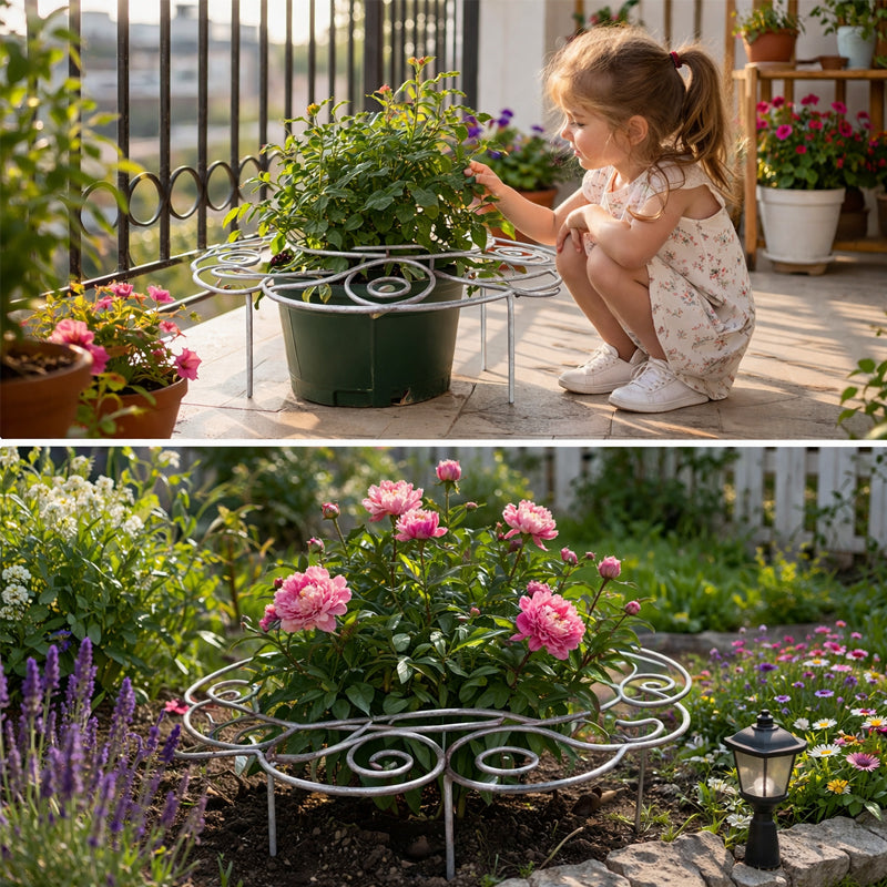 📢📢LAST DAY SALE 50% OFF🌱Plant Support