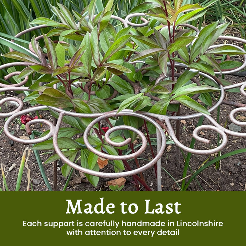 📢📢LAST DAY SALE 50% OFF🌱Plant Support