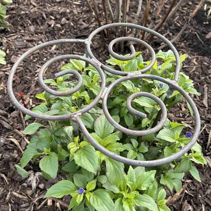 📢📢LAST DAY SALE 50% OFF🌱Plant Support