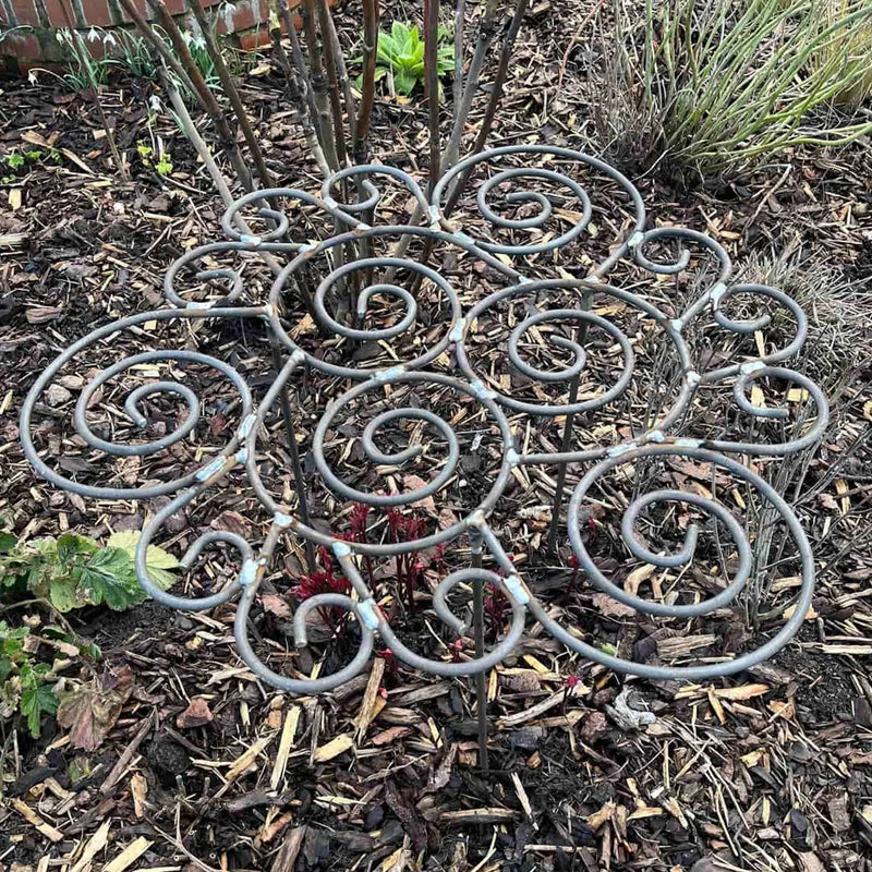 📢📢LAST DAY SALE 50% OFF🌱Plant Support